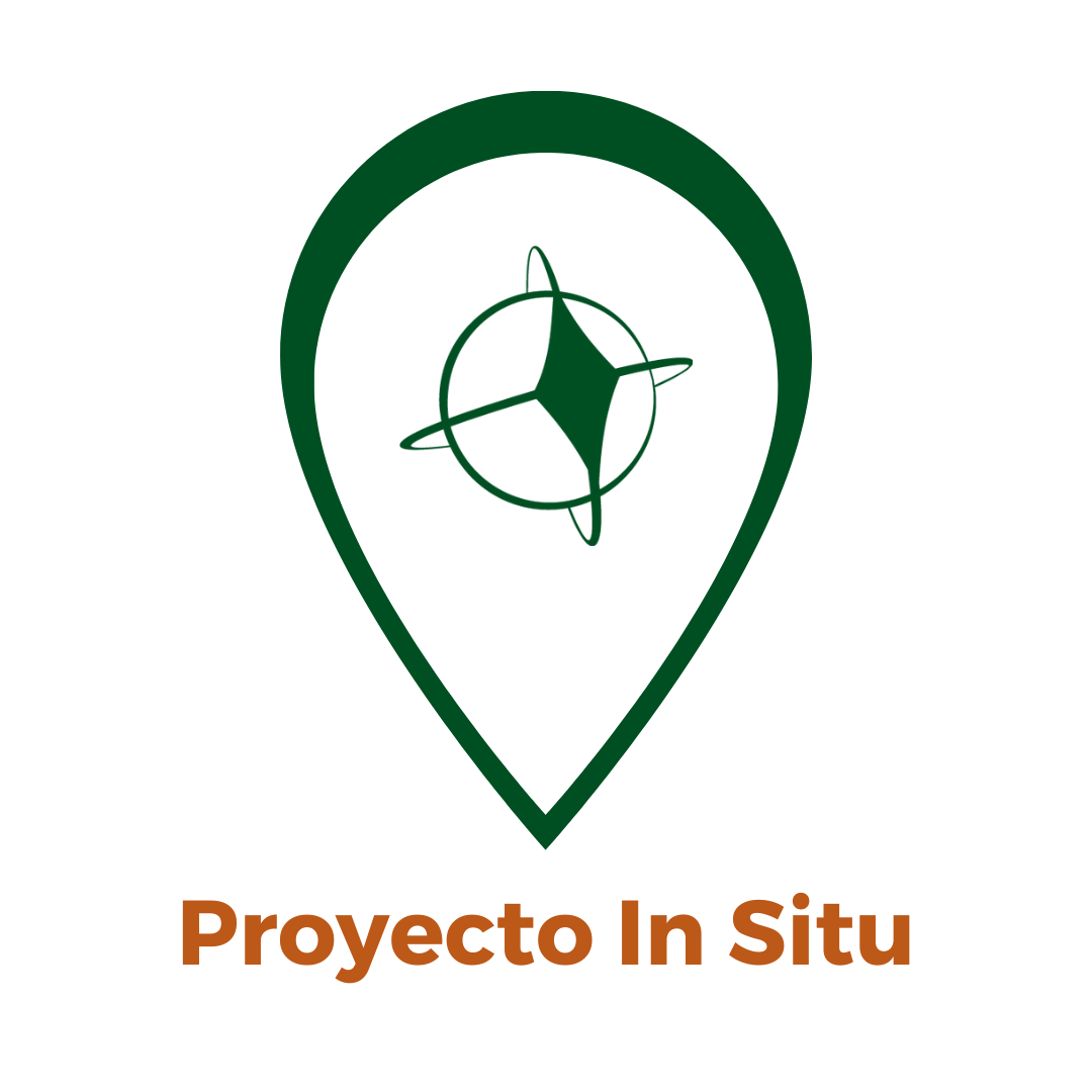 Lee más sobre el artículo Proyecto In Situ